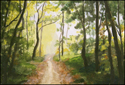 Sosto Forest